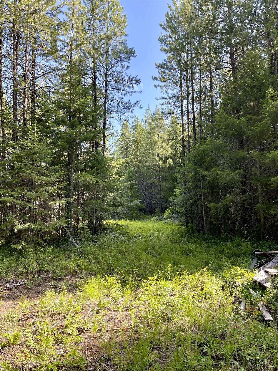 4 Acres of Residential Land for Sale in Newport, Washington