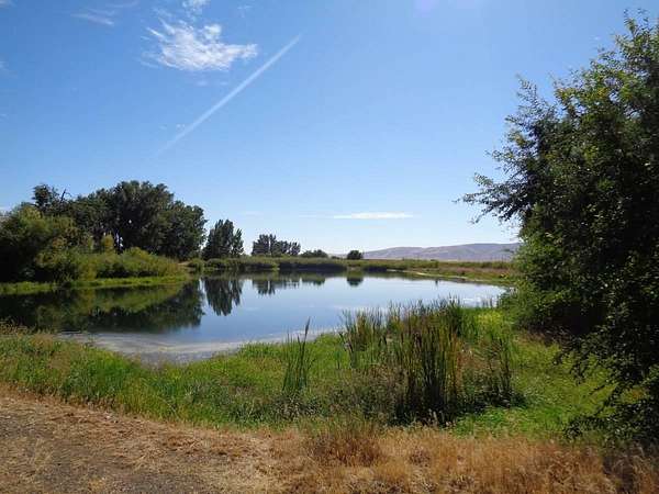 9 Acres of Residential Land for Sale in Wapato, Washington