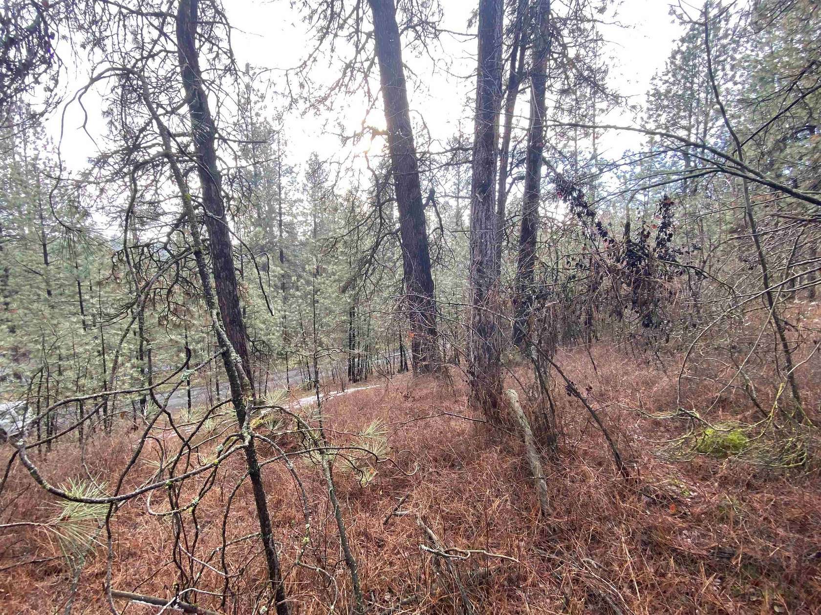 0.12 Acres of Residential Land for Sale in Spokane, Washington