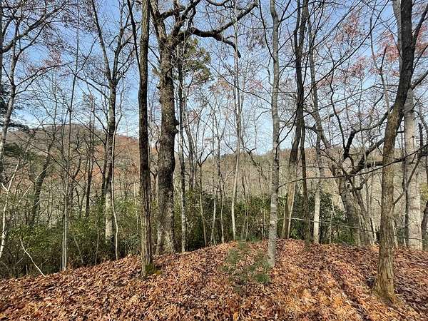 7.7 Acres of Residential Land for Sale in Robbinsville, North Carolina
