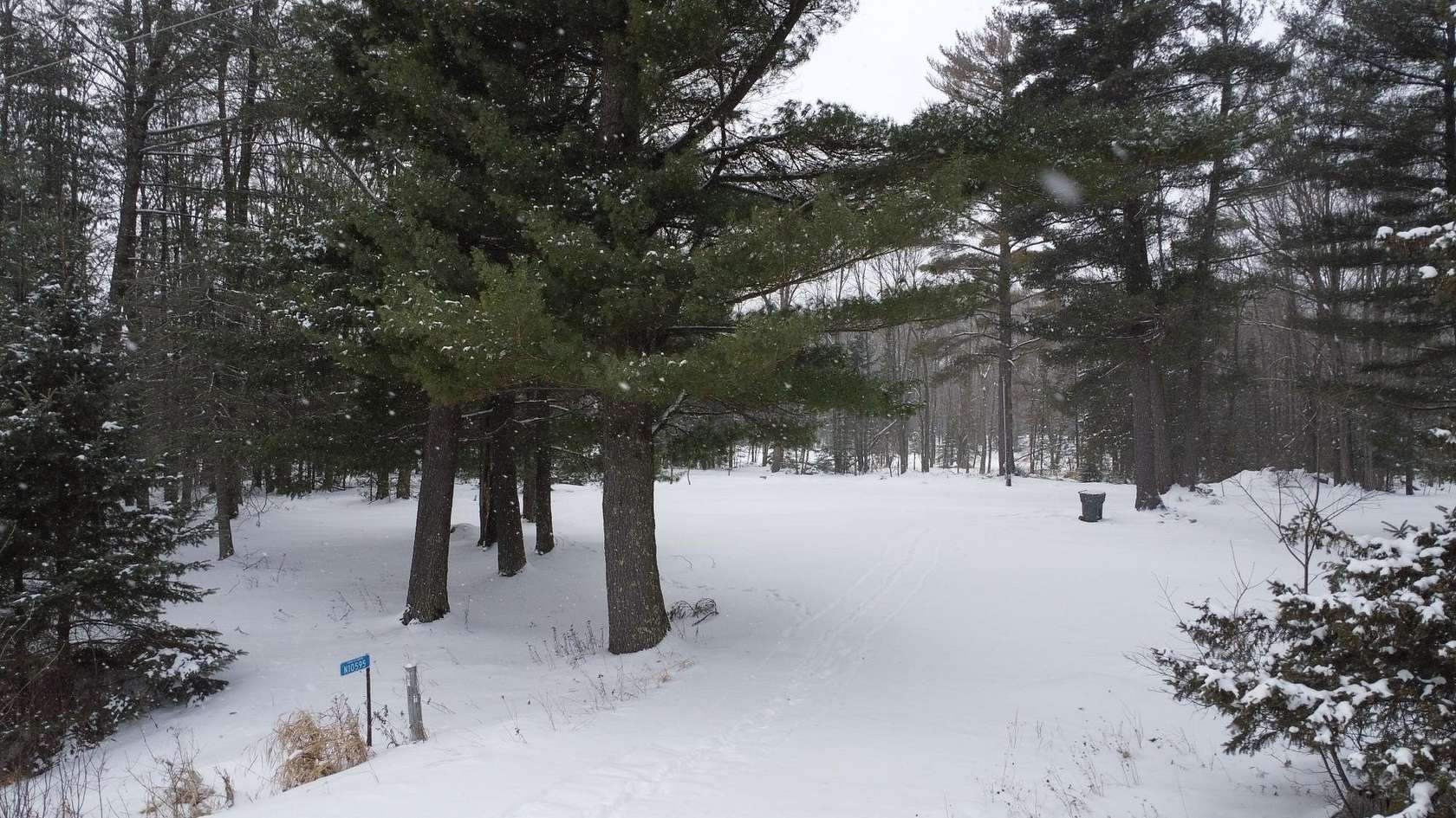 4.1 Acres of Land for Sale in Aniwa, Wisconsin