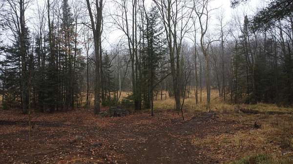 4.1 Acres of Land for Sale in Aniwa, Wisconsin