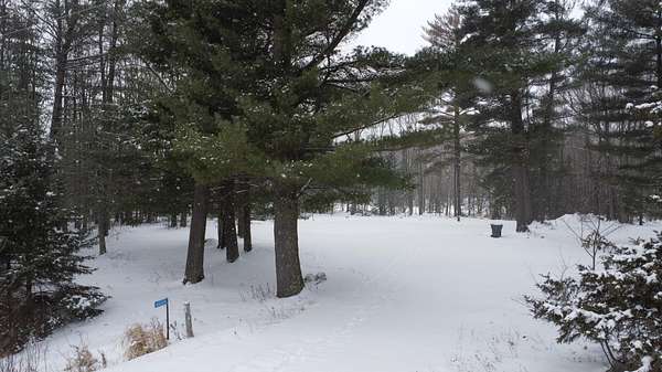 4.1 Acres of Land for Sale in Aniwa, Wisconsin