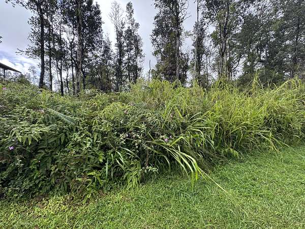 0.19 Acres of Residential Land for Sale in Pahoa, Hawaii