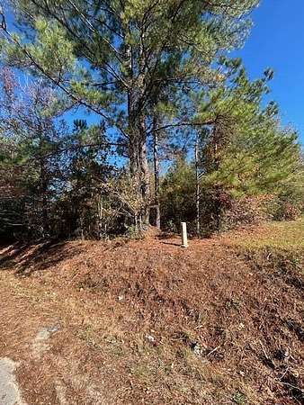 4 Acres of Residential Land for Sale in Rembert, South Carolina