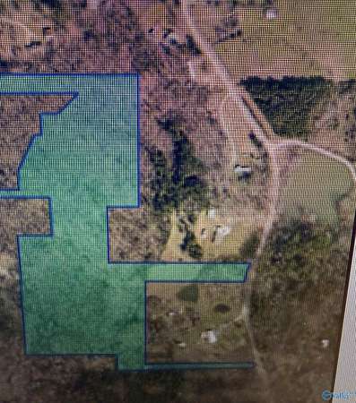 21.4 Acres of Recreational Land for Sale in Danville, Alabama