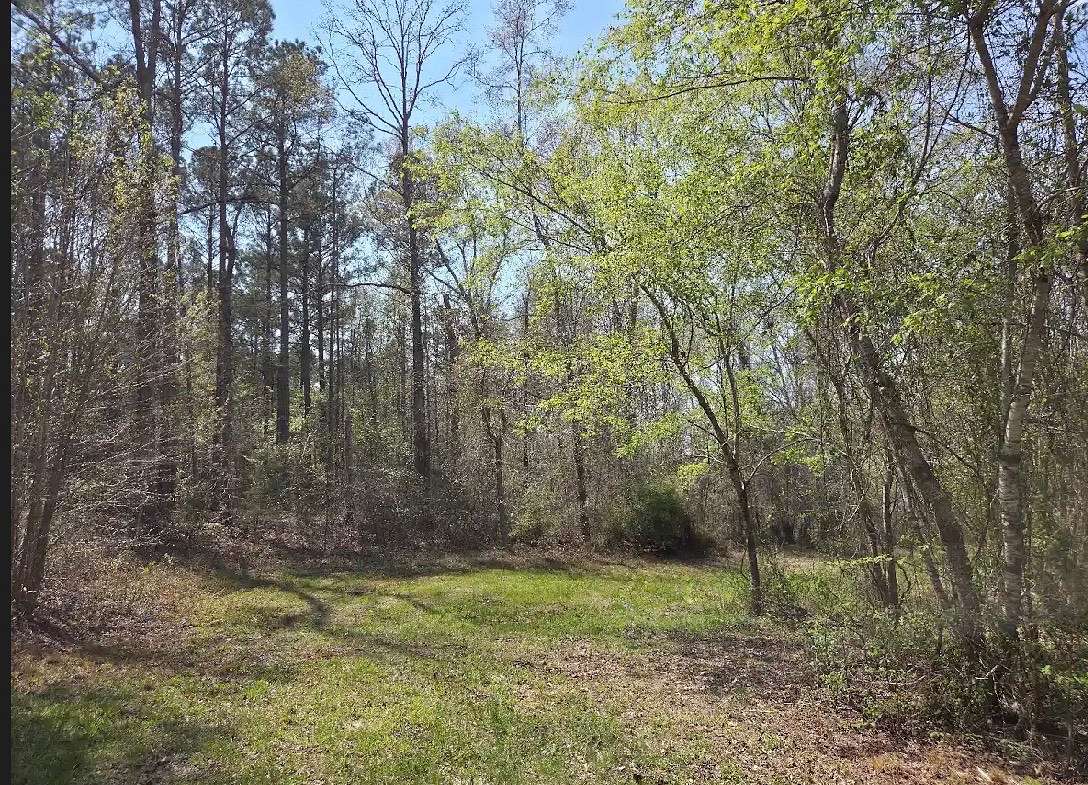 6.6 Acres of Residential Land for Sale in Wetumpka, Alabama