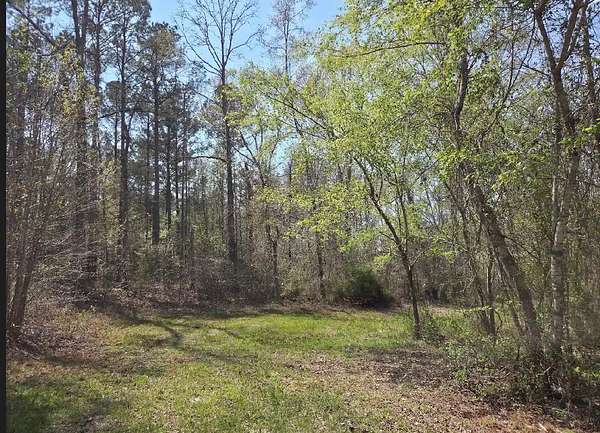 6.6 Acres of Residential Land for Sale in Wetumpka, Alabama