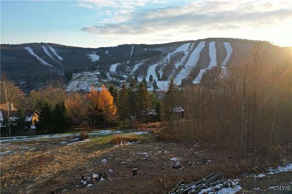 0.86 Acres of Residential Land for Sale in Cortland, New York