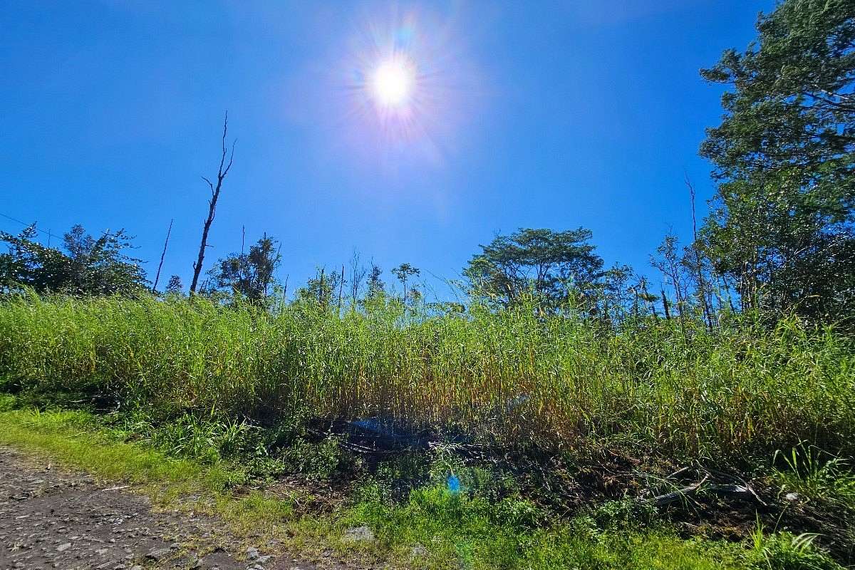 2 Acres of Residential Land for Sale in Kurtistown, Hawaii