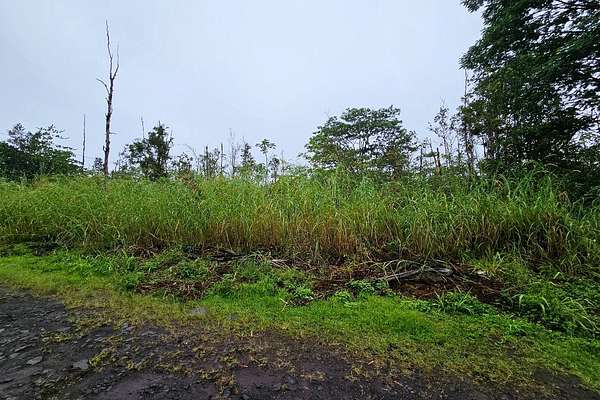 2 Acres of Residential Land for Sale in Kurtistown, Hawaii