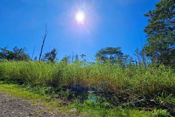 2 Acres of Residential Land for Sale in Kurtistown, Hawaii