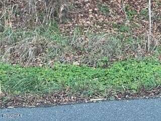 2.3 Acres of Residential Land for Sale in New Marlborough, Massachusetts