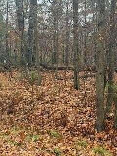 0.3 Acres of Residential Land for Sale in Bella Vista, Arkansas
