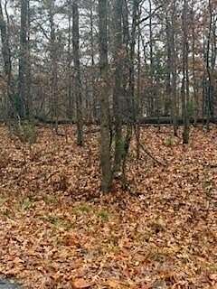 0.3 Acres of Residential Land for Sale in Bella Vista, Arkansas