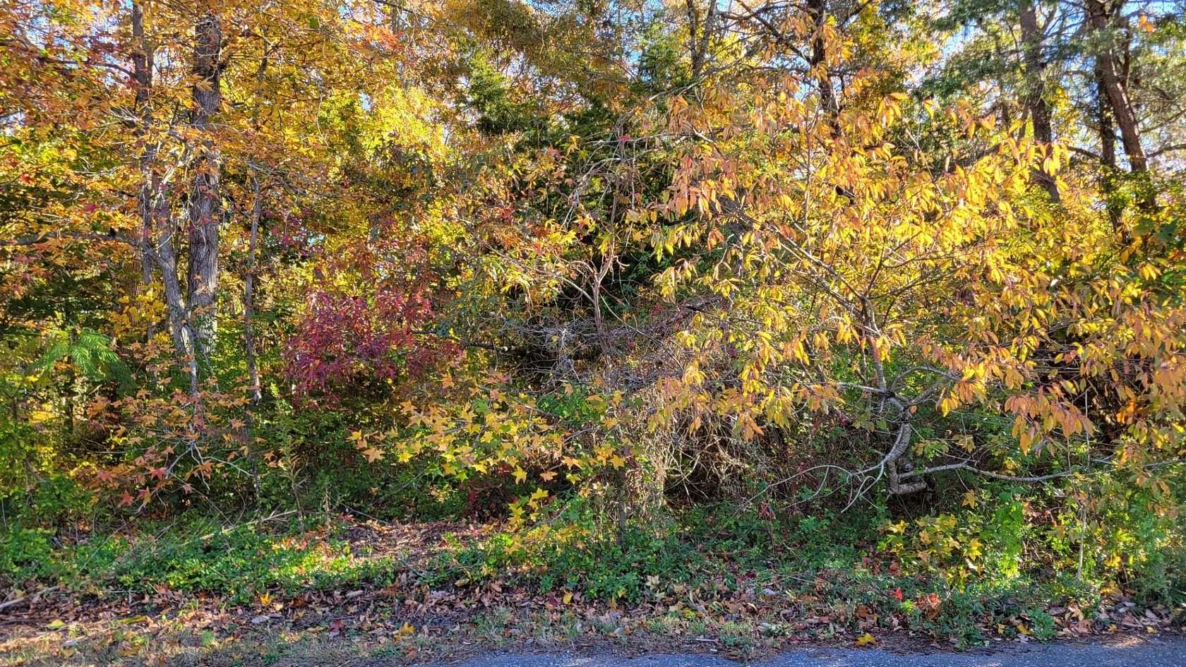 0.3 Acres of Residential Land for Sale in Erma, New Jersey