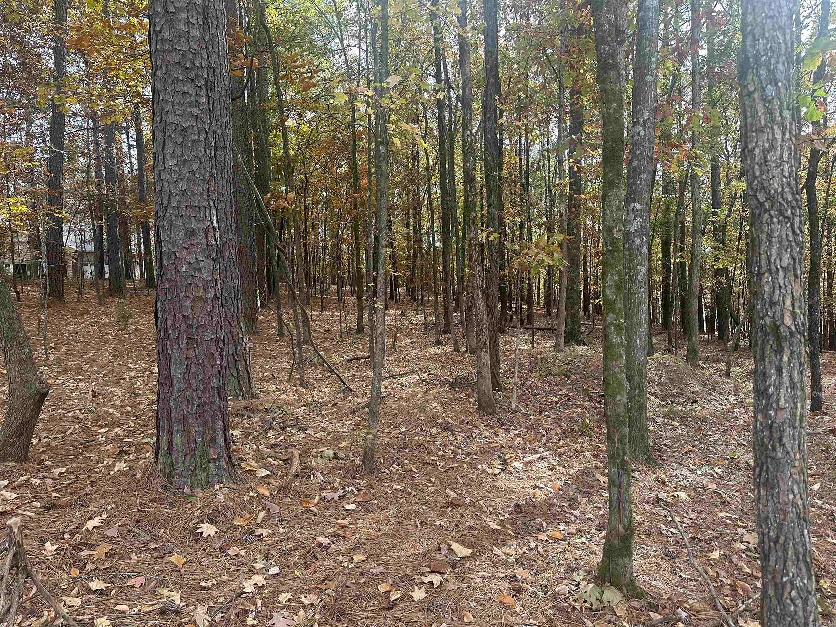 0.5 Acres of Residential Land for Sale in Hot Springs Village, Arkansas