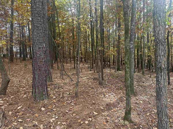 0.5 Acres of Residential Land for Sale in Hot Springs Village, Arkansas