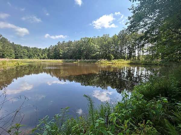 111 Acres of Recreational Land for Sale in Carthage, Mississippi