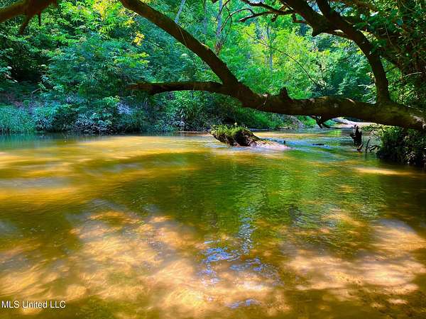 41 Acres of Recreational Land for Sale in Sandy Hook, Mississippi