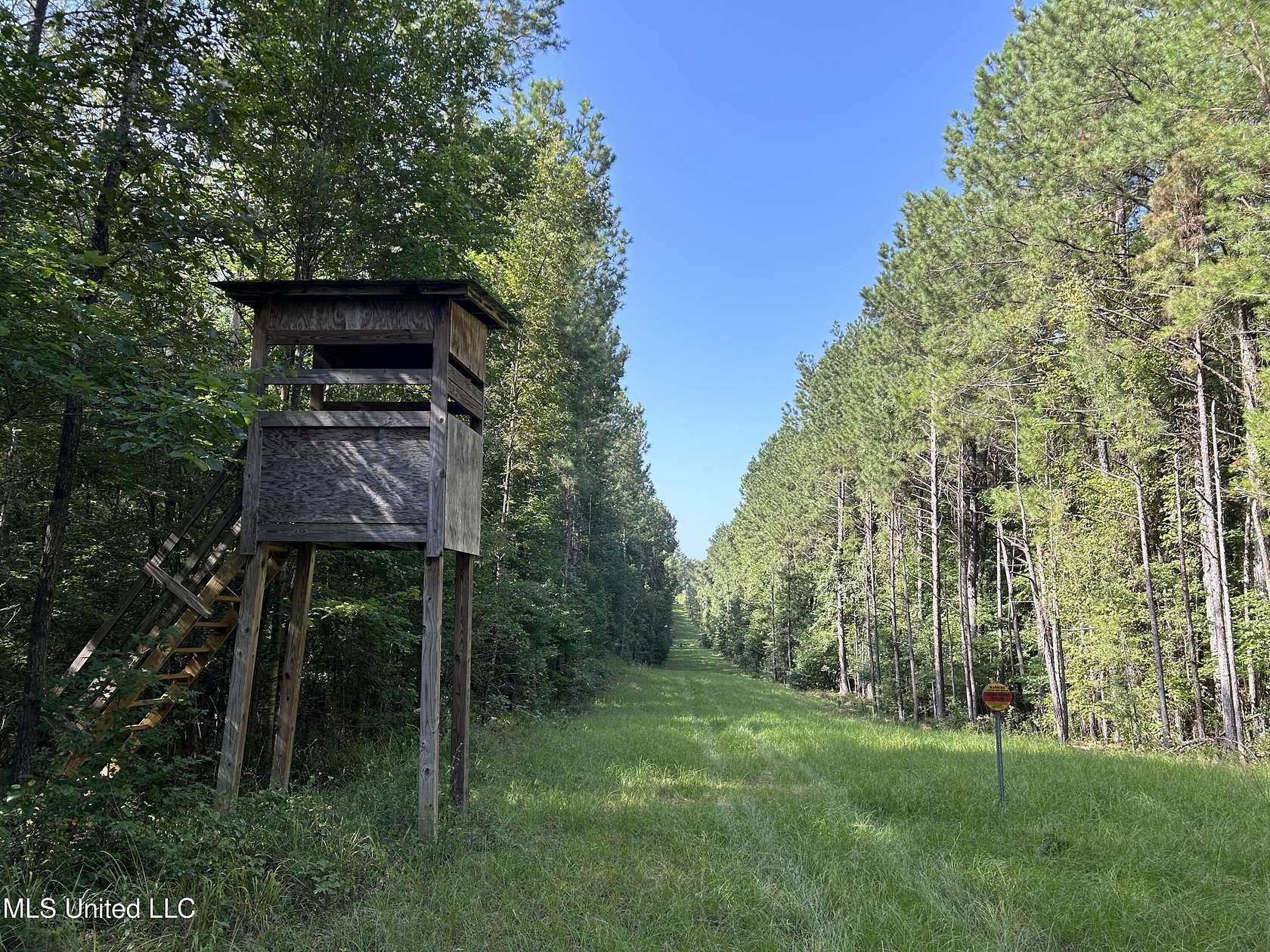 144 Acres of Recreational Land for Sale in Hazlehurst, Mississippi