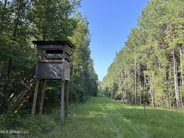 144 Acres of Recreational Land for Sale in Hazlehurst, Mississippi