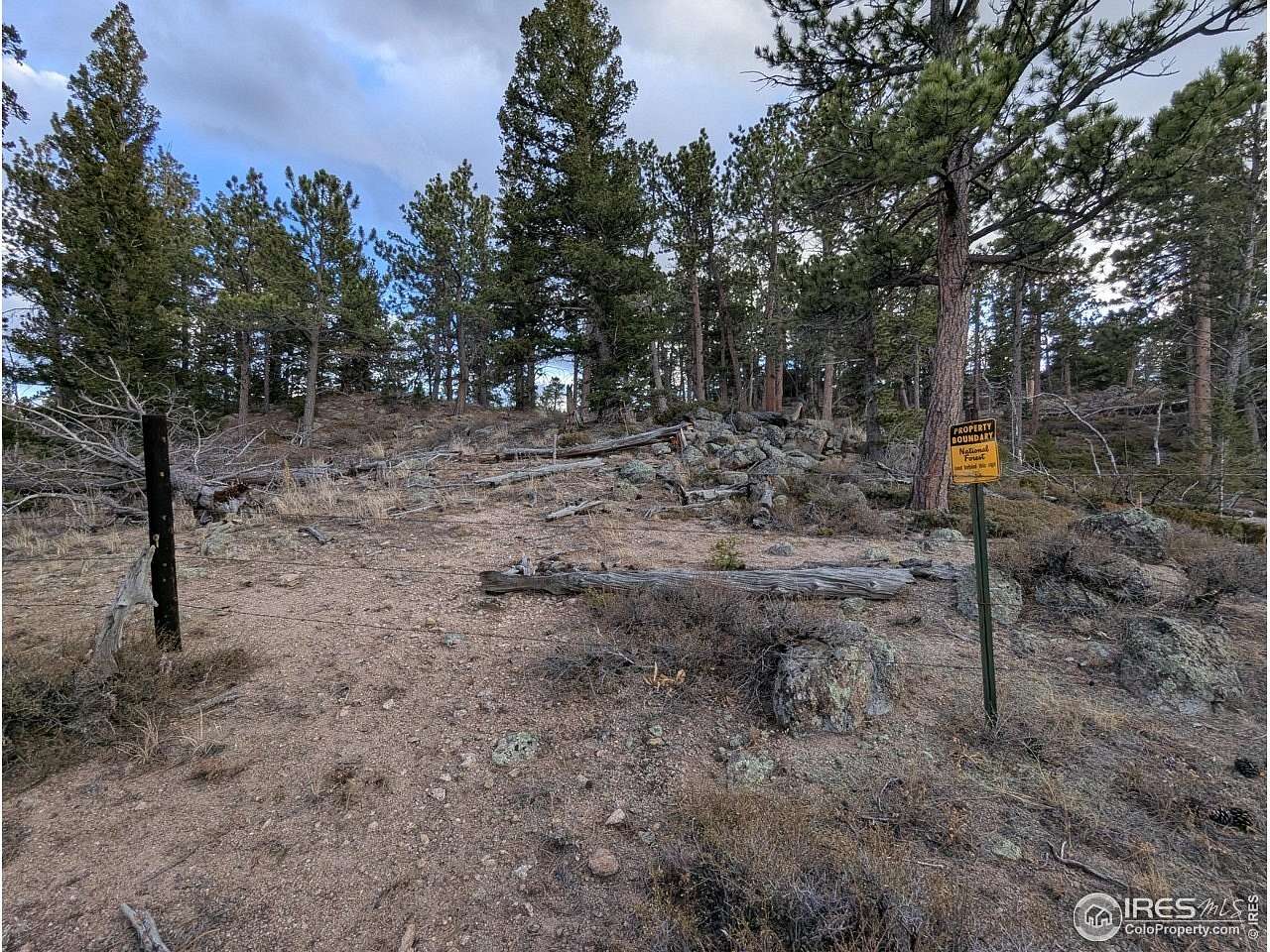 5 Acres of Land for Sale in Red Feather Lakes, Colorado