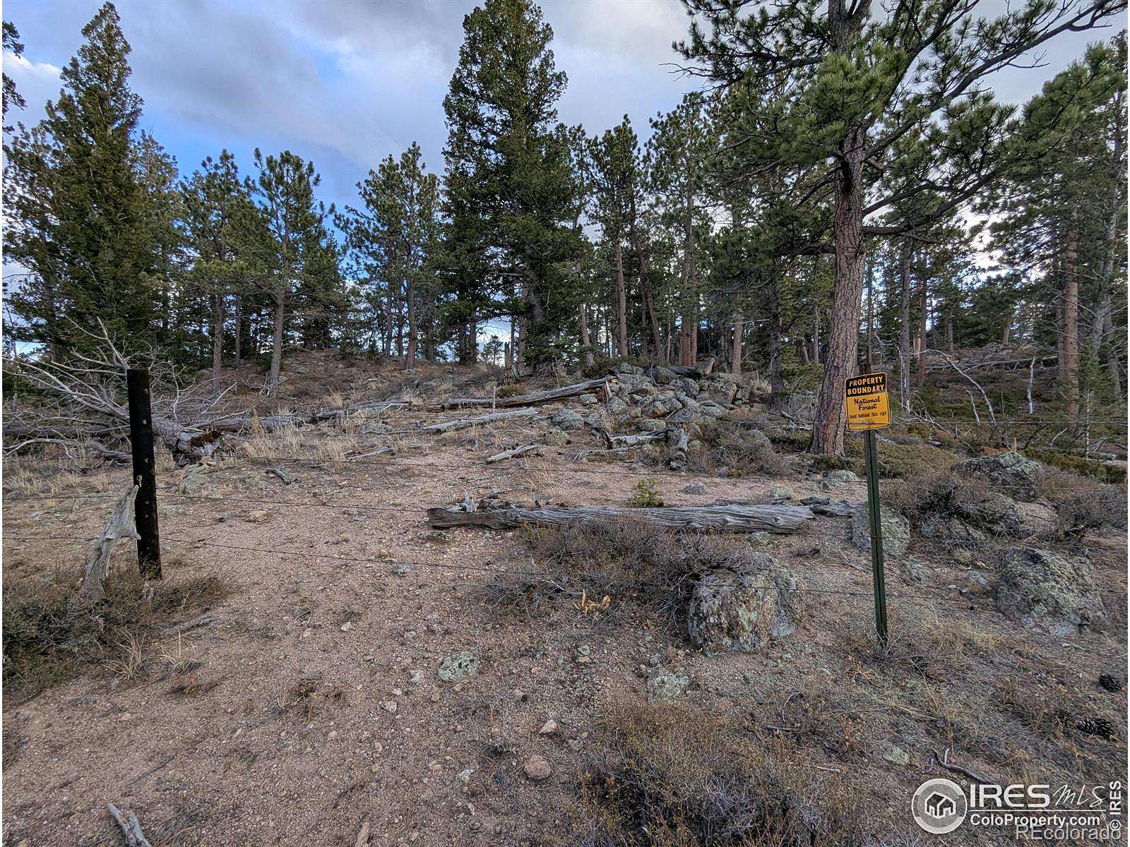 5 Acres of Land for Sale in Red Feather Lakes, Colorado