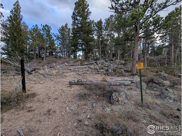 5 Acres of Land for Sale in Red Feather Lakes, Colorado