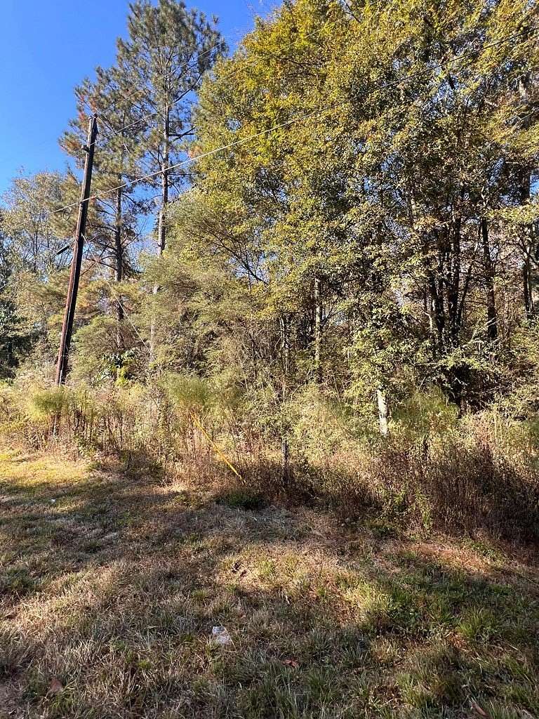 4.37 Acres of Land for Sale in Tylertown, Mississippi