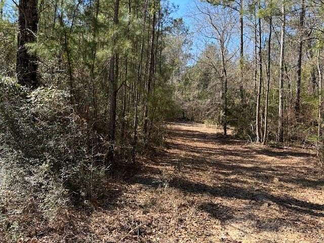 6.1 Acres of Land for Sale in Sandy Hook, Mississippi