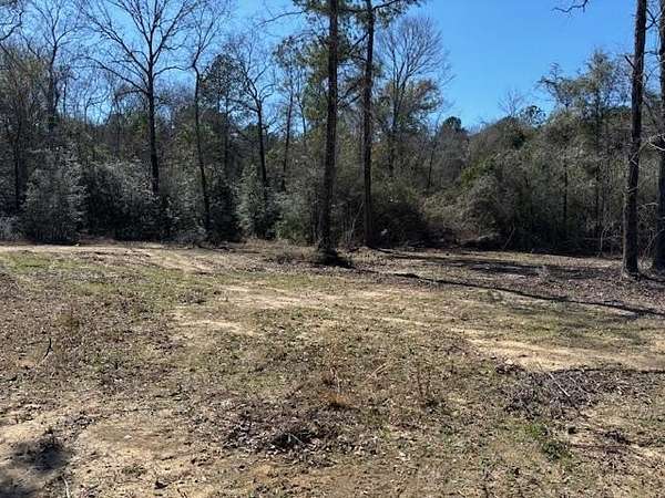 6 Acres of Land for Sale in Sandy Hook, Mississippi