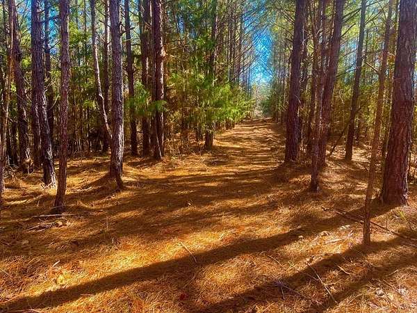7.7 Acres of Residential Land for Sale in Brookhaven, Mississippi