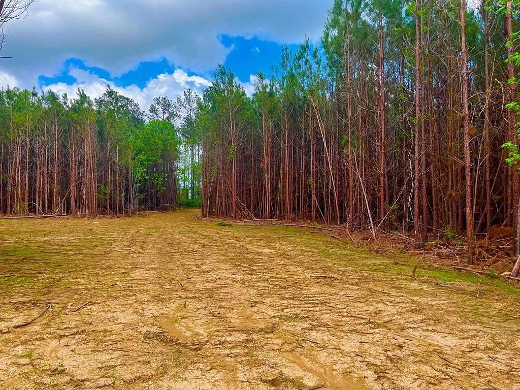 3 Acres of Residential Land for Sale in Ruth, Mississippi