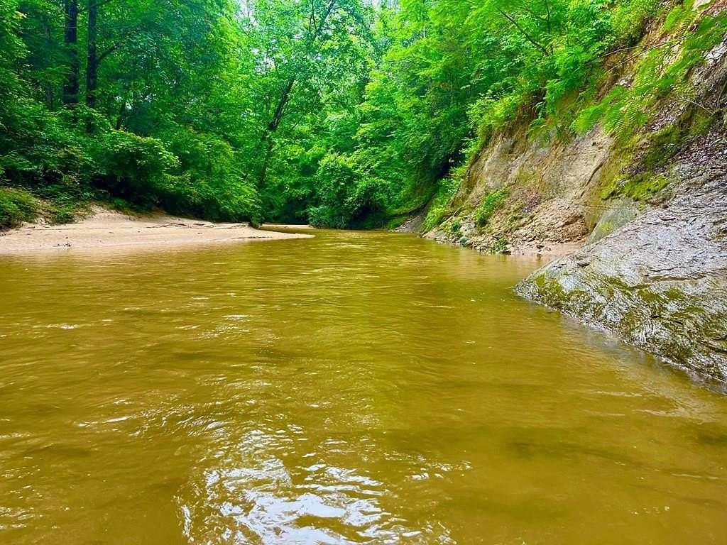 40.2 Acres of Recreational Land for Sale in New Hebron, Mississippi