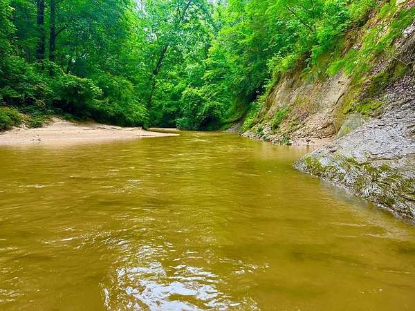 40.2 Acres of Recreational Land for Sale in New Hebron, Mississippi