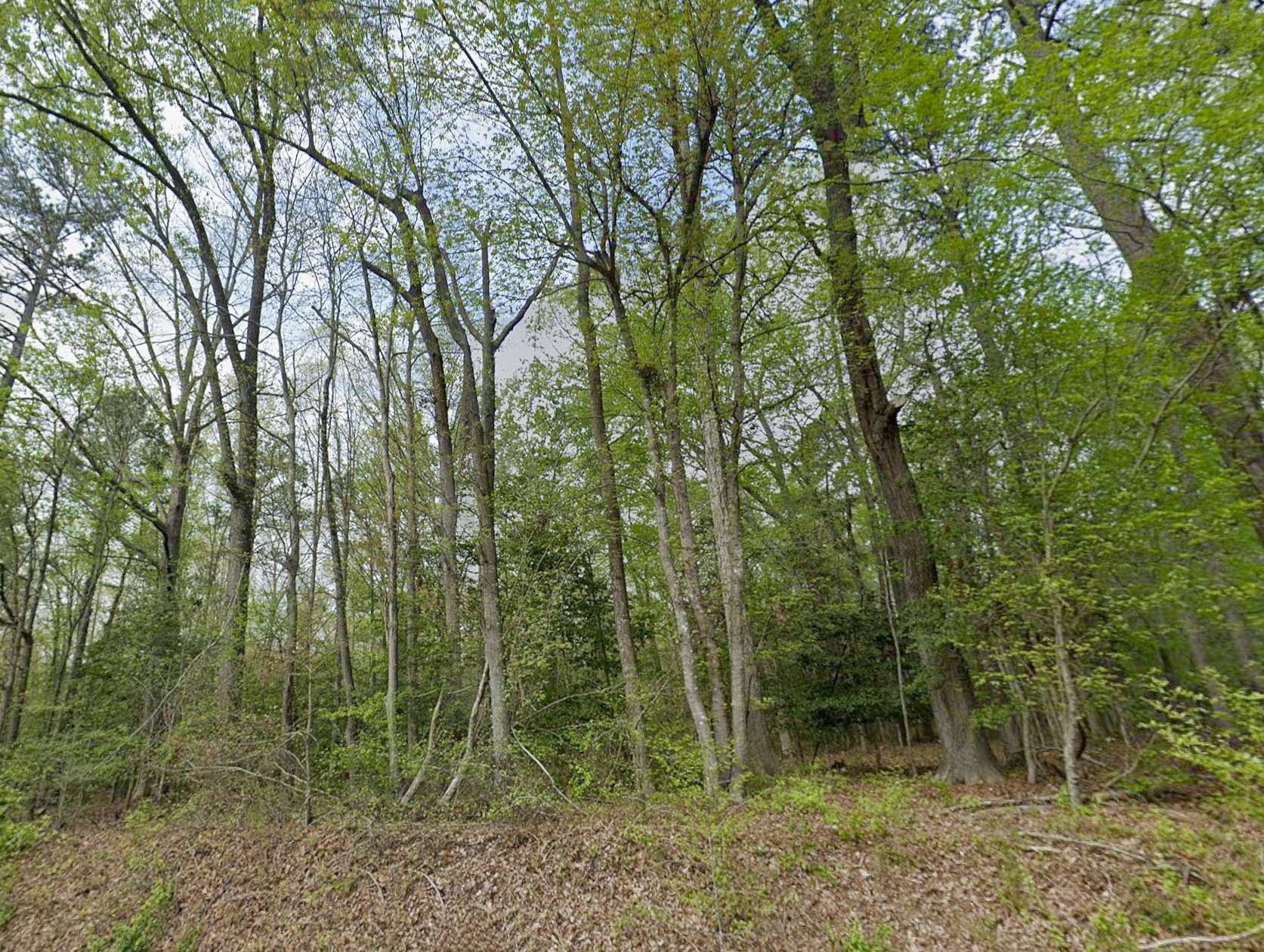1 Acre of Residential Land for Sale in Wake Forest, North Carolina