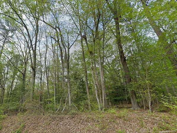 1 Acre of Residential Land for Sale in Wake Forest, North Carolina