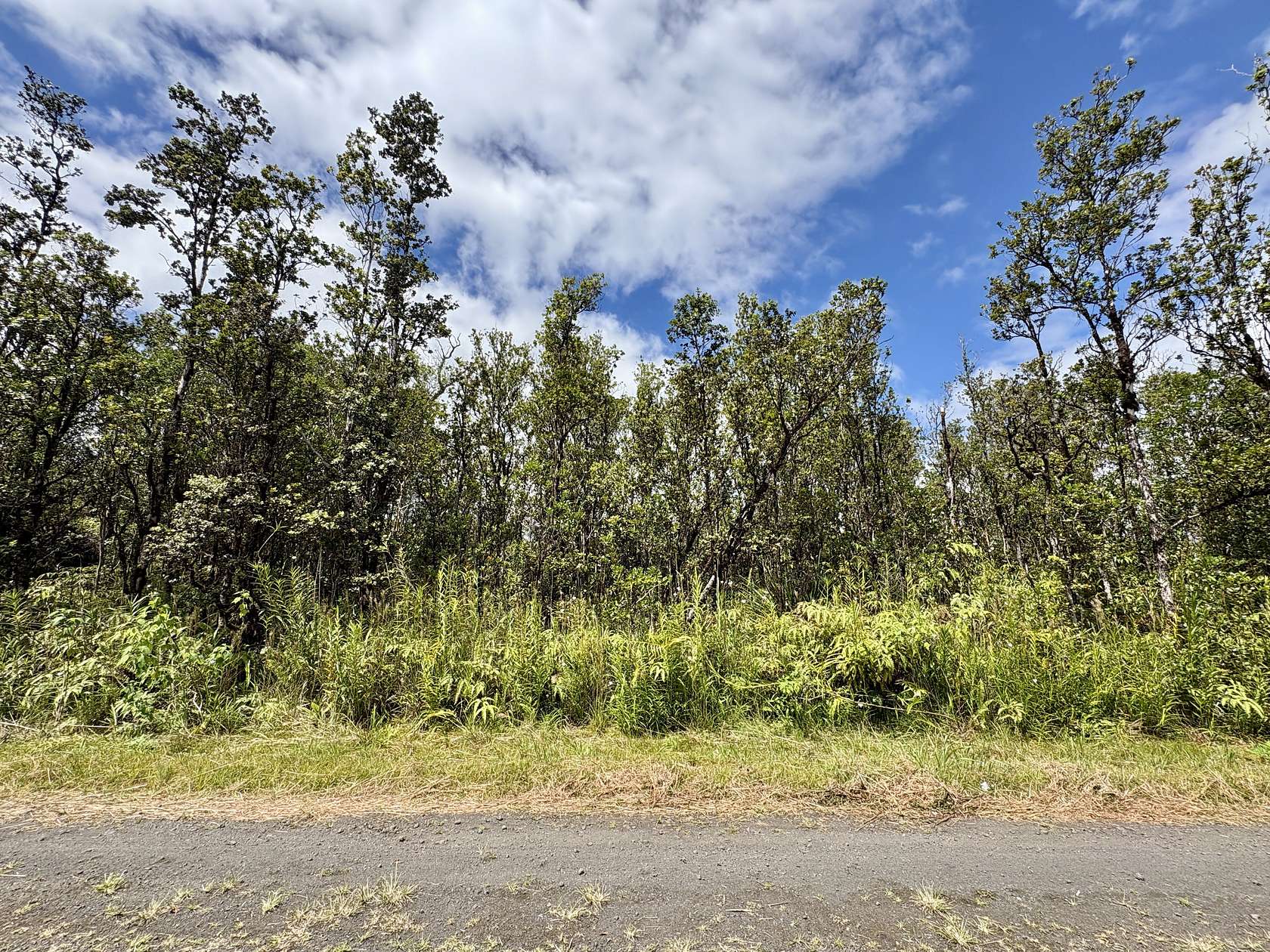 1 Acre of Residential Land for Sale in Mountain View, Hawaii