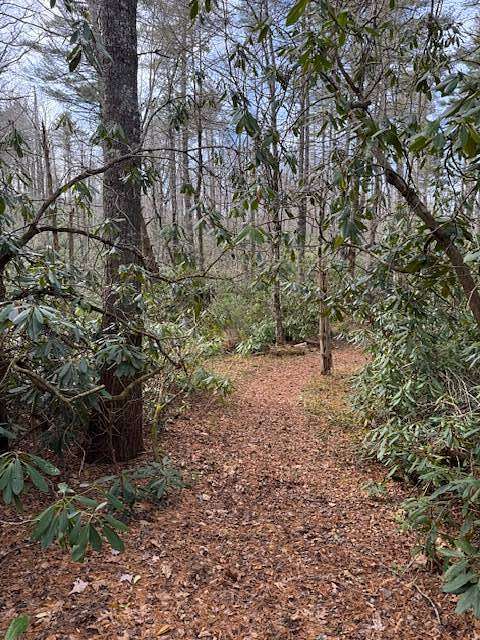 7.7 Acres of Residential Land for Sale in Newland, North Carolina