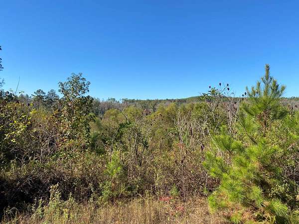 75 Acres of Recreational Land for Sale in Pinetucky, Alabama