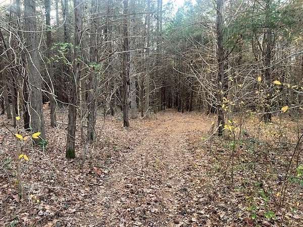 7.1 Acres of Land for Sale in South Hill, Virginia