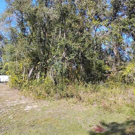 0.28 Acres of Residential Land for Sale in Ocklawaha, Florida