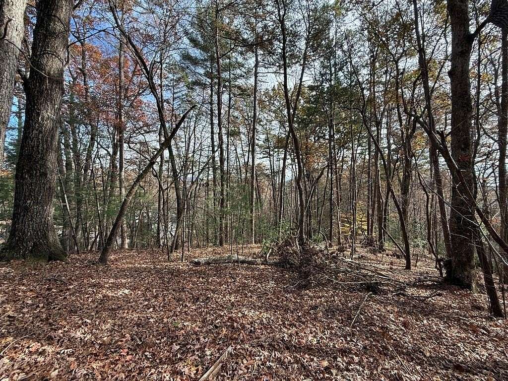 2.8 Acres of Residential Land for Sale in Ellijay, Georgia