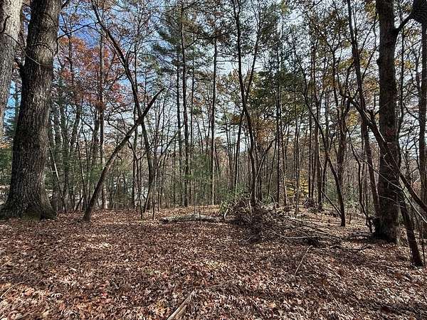 2.8 Acres of Residential Land for Sale in Ellijay, Georgia