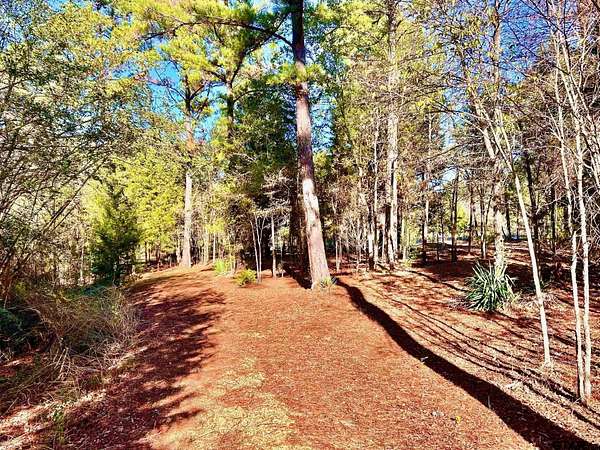 2.27 Acres of Residential Land for Sale in Athens, Texas