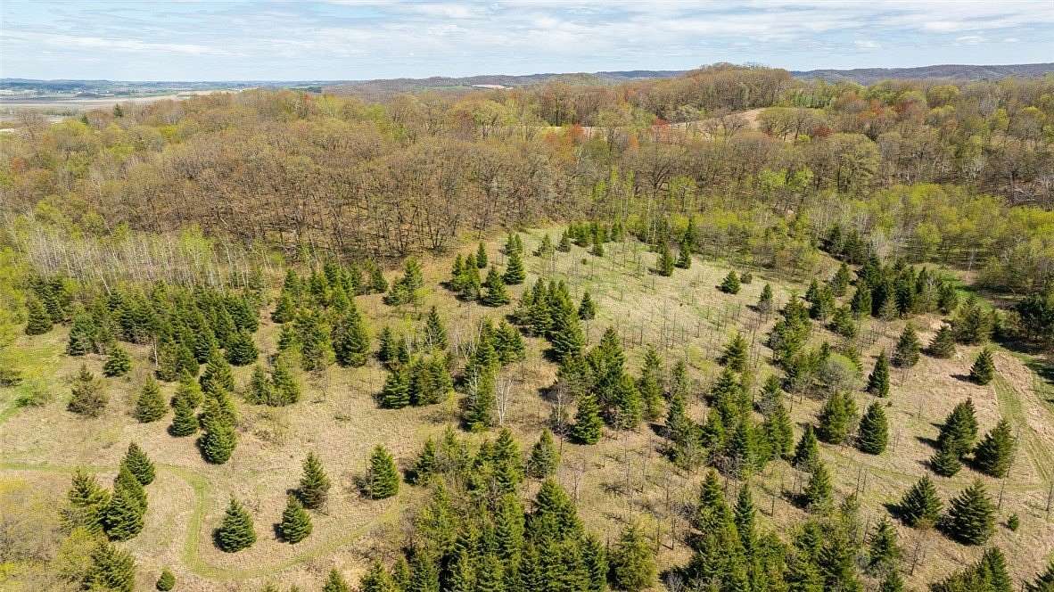 90 Acres of Land for Sale in Mondovi, Wisconsin