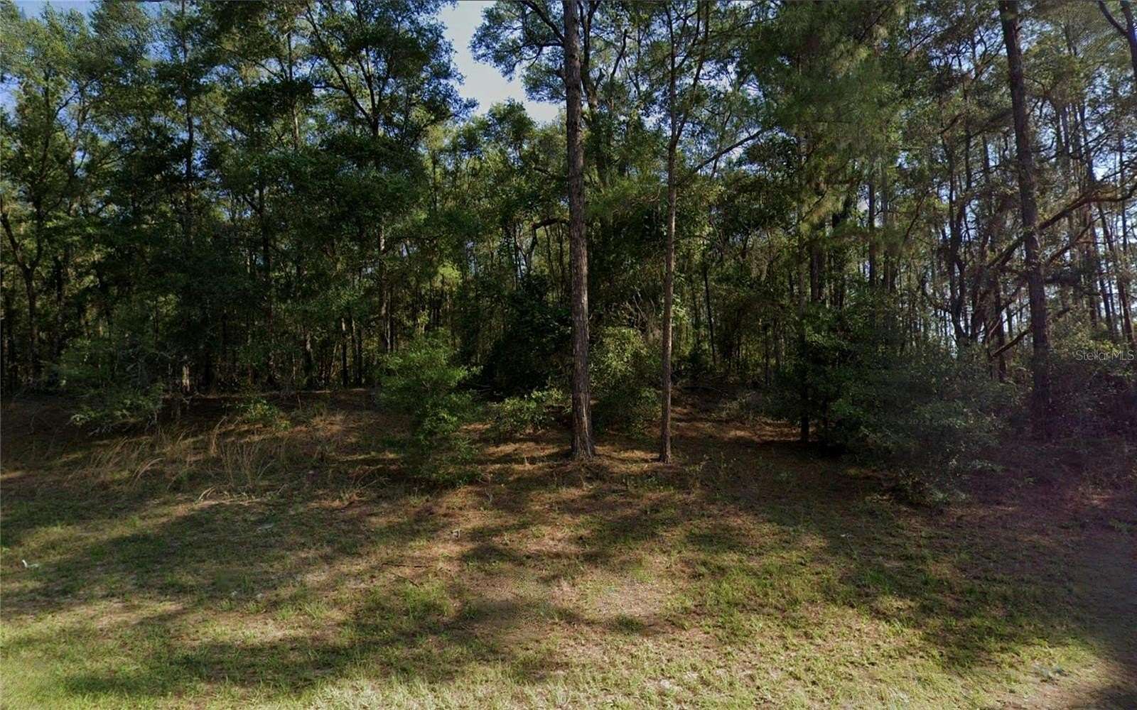 0.23 Acres of Residential Land for Sale in Dunnellon, Florida