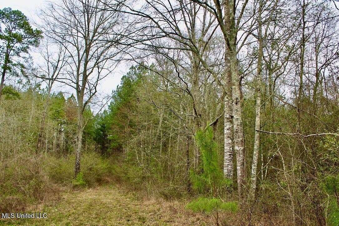42 Acres of Recreational Land for Sale in Ruth, Mississippi