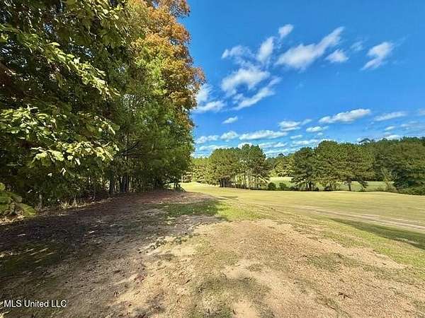 2 Acres of Residential Land for Sale in Wesson, Mississippi